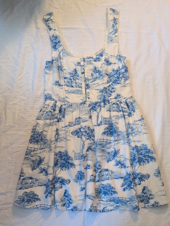 Japna Dresses & Skirts - Blue Toile Print Dress